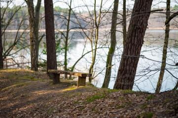 Hidden lake in the middle of the forest