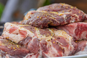 Raw meat in a plate, cut into pieces, seasoned and ready to grill, outdoors. Close-up, small depth of field