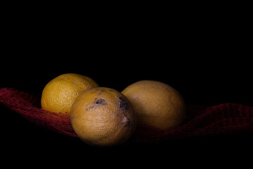 Rotten Lemons isolated on black background. Concept of decay, aging, sadness and fading away. Still life isolated on black background