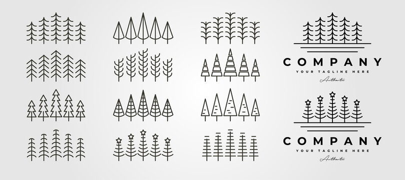 set of vector pines thin line icon logo symbol illustration design, collection of pine tree line art style