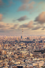 Aerial long exposure photography of the city of Tokyo with the skytree tower in the center at sunset.