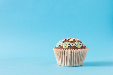 homemade muffin, cupcake on a blue background