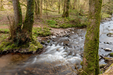 Long exposure of the Horner Water river flowing through Horner woods in Somerset