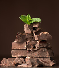 heap of cracked chocolate bar pieces and twig of mint on top