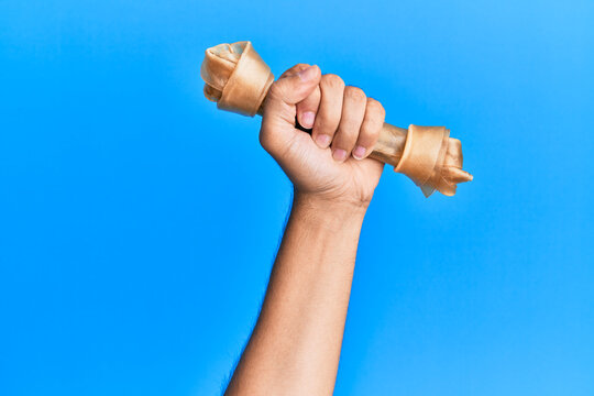 Hand of hispanic man holding dog bone over isolated blue background.