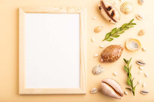 Composition with wooden frame, seashells, green boxwood. mockup on orange background. top view, copy space.