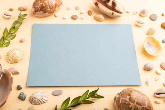 Composition with blue paper sheet, seashells, pebbles, green boxwood. mockup on orange background. side view, copy space.