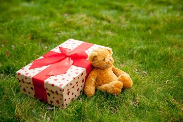 Gift box and teddy bear on green grass