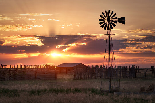 An old fashion windmill on a farm in a rural countryside landscape during sunset.

