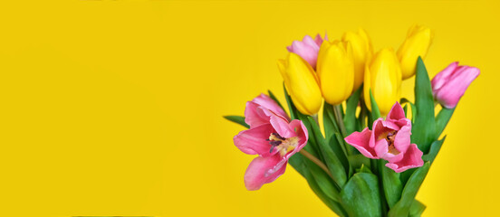 Spring flowers, bouquet of pink tulips on yellow background copy space.