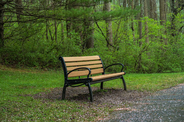 Fototapeta na wymiar Park Bench Amid Green Foliage