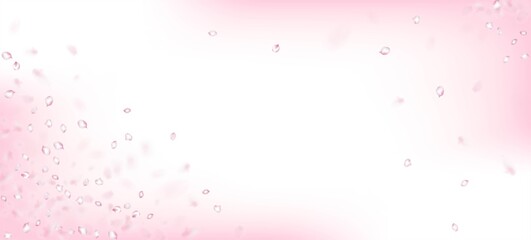 Cherry Sakura Petals Confetti. Flying Japanese Sakura Rose Cherry