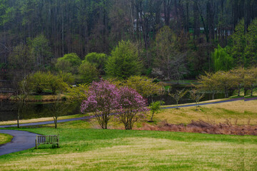 Spring Comes to Meadowlark Botanical Gardens