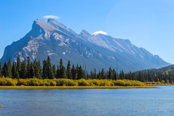 Great Canadian wilderness without Rocky Mountains and Bow River surrounded by trees
