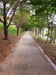Fototapeta premium 가을풍경