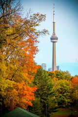 Obraz premium Trinity-Bellwoods park in autumn with colourful leaves with city skyline in background