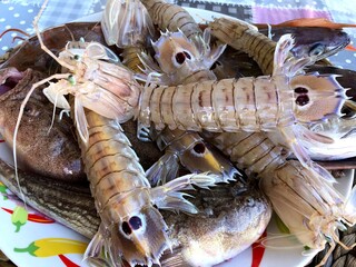 Fresh raw mantis shrimps from the fish market