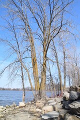 Four winds bank on Laval island