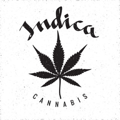 Cannabis Indica Calligraphic Hand Drawn Logo Lettering with Seven Blades Marijuana Leaf in the Middle - Black Elements on White Grunge Background - Contrast Graphic Design