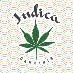 Cannabis Indica Calligraphic Hand Drawn Logo Lettering with Marijuana Leaf - Green Red and Yellow Rastafarian Style Wavy Lines on White Paper Background - Contrast Graphic Design