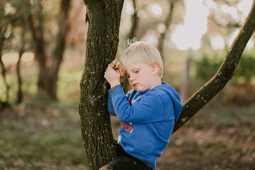 Beautiful sunset portrait of little blonde boy climbing tree