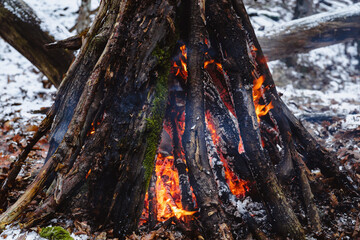 Bonfire in the forest in winter