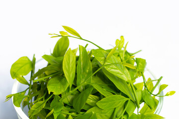 Melientha suavis pierre leaves on white background.