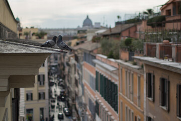 toits de rome