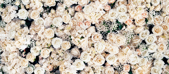 tumblr white roses