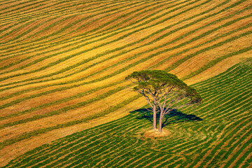 Paesaggi Toscani