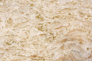 Fototapeta na wymiar Polished surface of beautiful sand-colored Travertine. Background image, texture.