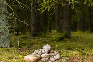 rock pile in the forest