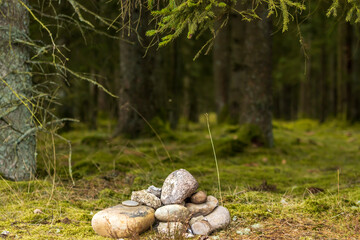 rock pile in the forest