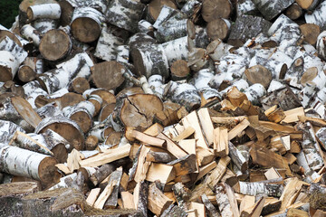 Timber harvesting background. Pile of firewood. Preparation of firewood for the winter