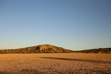 Fototapeta na wymiar Vibrant sunset landscape image of Mount Hope surrounded by wheat fields with kangaroos visible