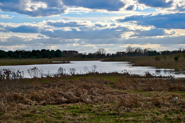 the land of the lower Narew, spring landscape, oxbow lake