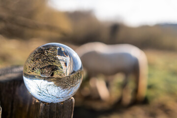 Glass ball reflecting horses in a field, the ball mounted on a wooden column in by a pasture. Warm sunny day. Selective focus.