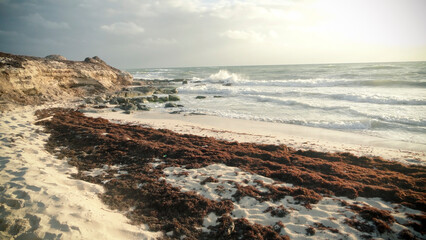 Rocky Beach Coastline with Wild Ocean Waves