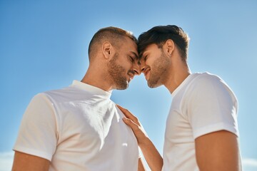 Romantic young gay couple at the beach.