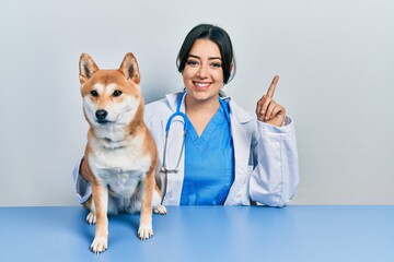 Beautiful hispanic veterinarian woman checking dog health surprised with an idea or question pointing finger with happy face, number one
