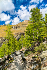 Fototapeta na wymiar View of Swiss Alps near Zermatt