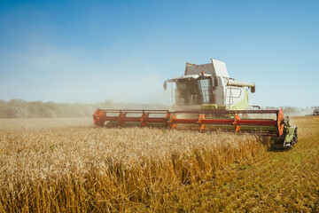 Combine harvester harvests ripe wheat. Concept of a rich harvest. Agriculture image