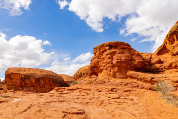 Fototapeta premium Nature landscape around the Pioneer Park