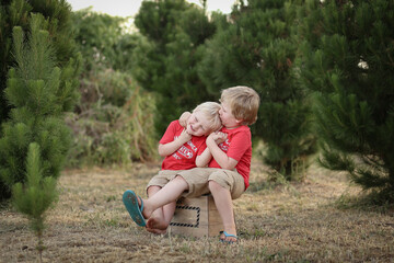 Happy boys wearing red shirts sitting on wooden box on Christmas tree farm