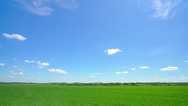 Time-lapse, a large green grassland with copy space, several white clouds floating in blue sky