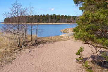 The baltic sea coast in Finland in the spring on a sunny day
