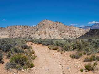 Sunny landscape of the Snow Canyon State Park