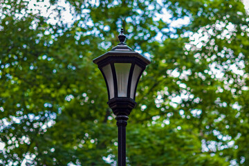 Fototapeta na wymiar Streetlight in city park against green trees, modern energy-efficient lamp in retro style