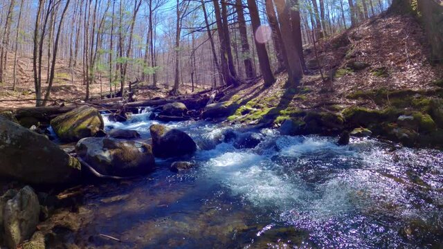 Nature time lapse of a beautiful, fresh woodland stream during early spring, after snow melt, in the Appalachian mountains. This is in the Catskill mountain sub-range in New York's Hudson Valley