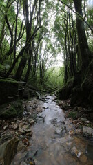 Fototapeta premium Caida de Agua en Villa Nougues - Tucumán - Argentina